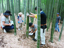 【都筑区】親子で竹で作ろう